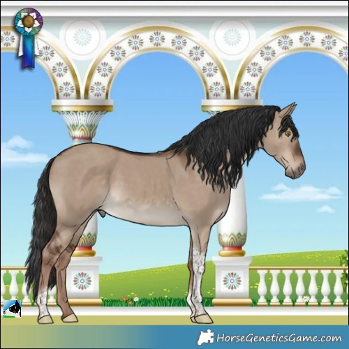 Horse Color:Liver Red Dun Tobiano 