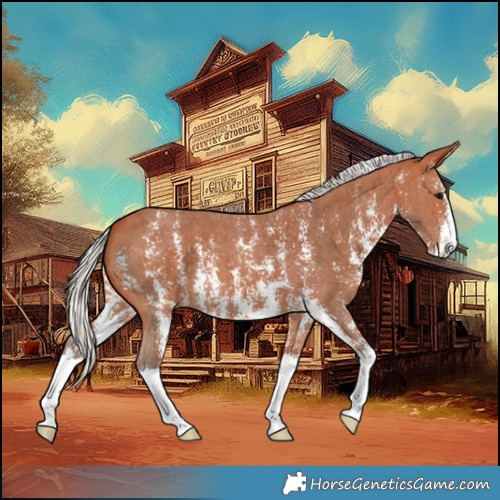 Horse Color:Silver Bay Sabino Varnish