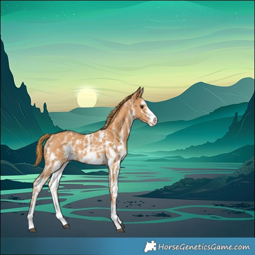 Horse Color:Chestnut Sabino