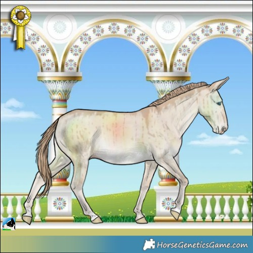 Horse Color:Smoky Creme Dun Brindle 