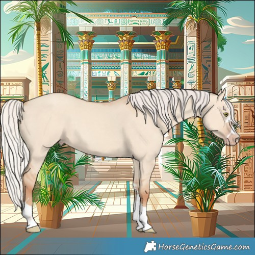 Horse Color:Silver Classic Champagne Dun 