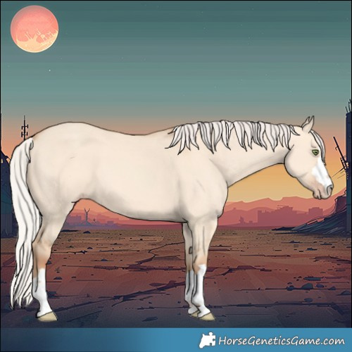 Horse Color:Silver Amber Champagne Dun 