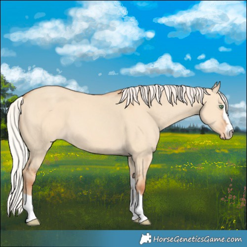 Horse Color:Silver Amber Champagne Dun Varnish 