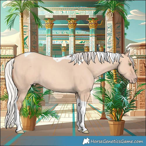 Horse Color:Silver Amber Champagne Dun Tobiano