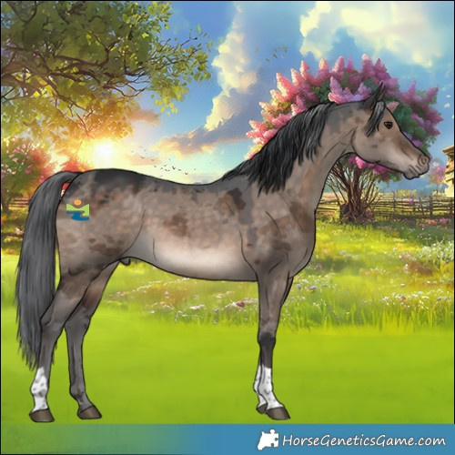 Horse Color:Brown Dun Merle Tobiano