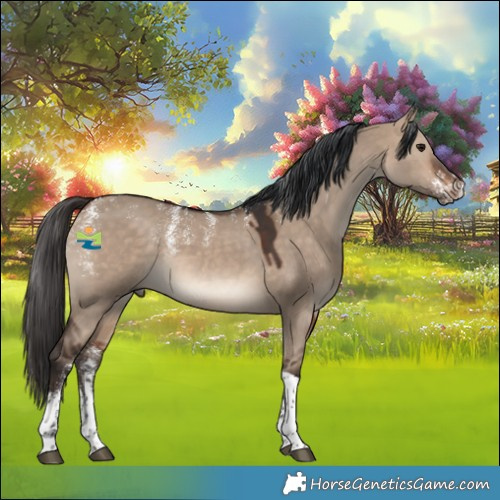 Horse Color:Powder White Bay Dun Tobiano