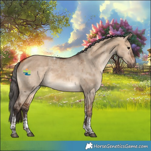 Horse Color:Bay Dun Merle Sabino Tobiano