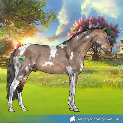 Horse Color:White Spotted Bay Dun Merle Tobiano