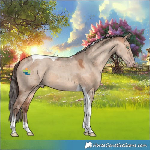 Horse Color:Amber Champagne Dun Merle Tobiano