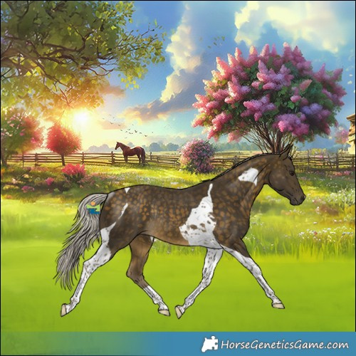 Horse Color:Silver Buckskin Tobiano Rabicano 