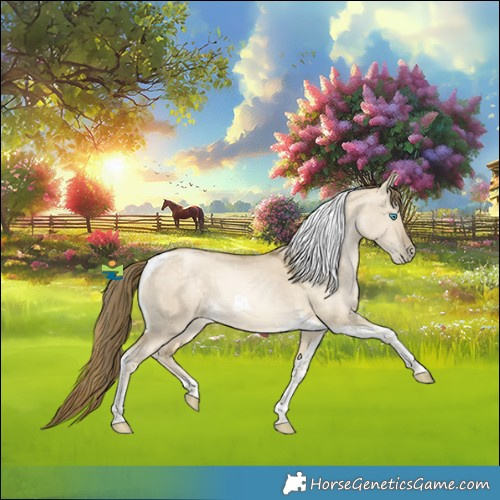 Horse Color:Buckskin Snowdrop Dun Tobiano Rabicano 
