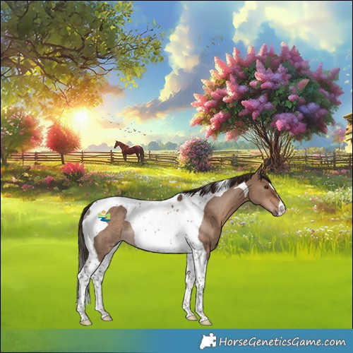 Horse Color:Liver Red Dun Tobiano Rabicano 