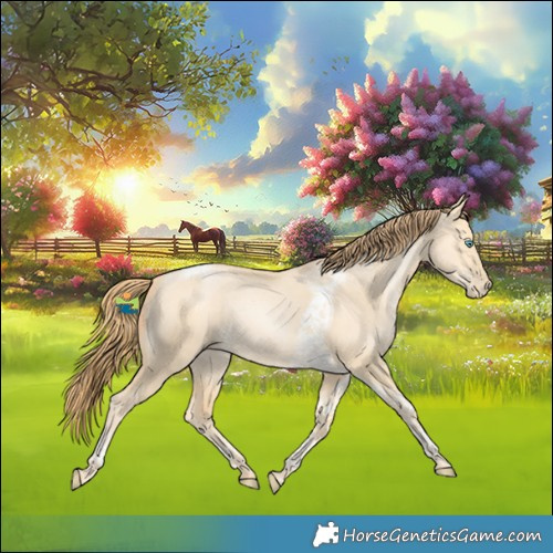 Horse Color:Buckskin Pearl Dun Tobiano Rabicano 