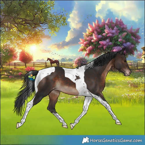Horse Color:Brown Tobiano Varnish 