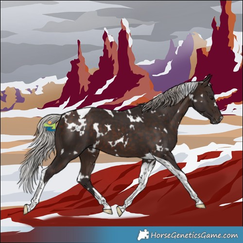 Horse Color:White Spotted Silver Brown Tobiano 