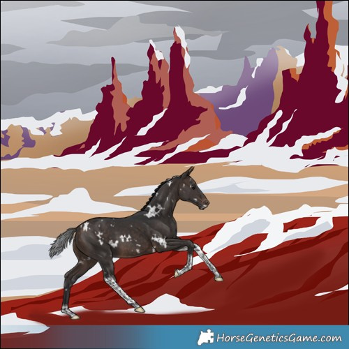 Horse Color:White Spotted Brown Tobiano 