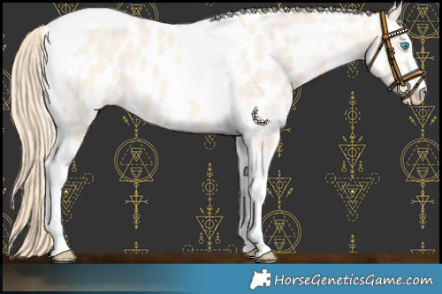 Horse Color:Perlino Dun Tobiano Near Leopard