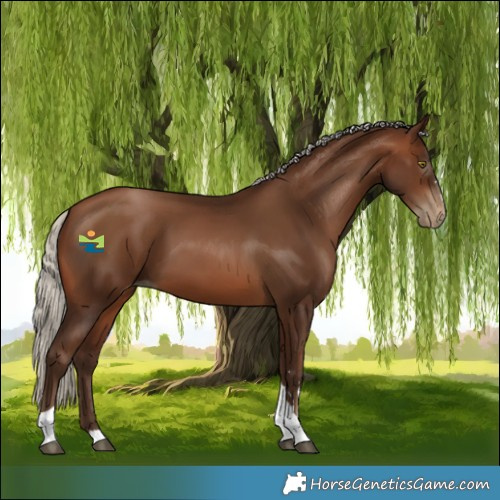 Horse Color:Gray Silver Brown Pearl Tobiano 