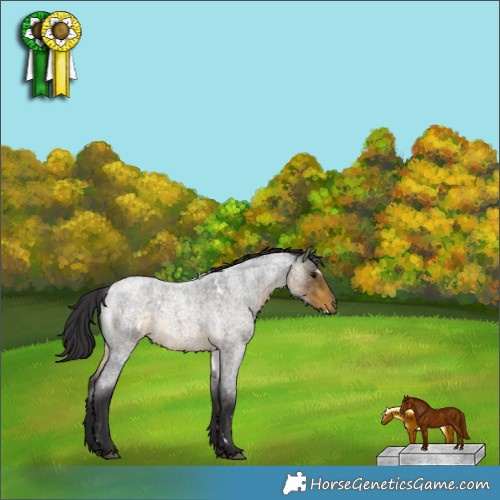 Horse Color:White Spotted Buckskin Roan 