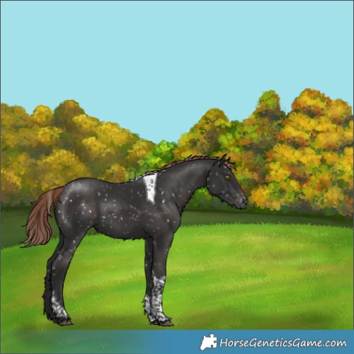 Horse Color:Liver Chestnut Tobiano Snowflake Varnish
