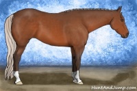 Horse Color:Silver Bay 