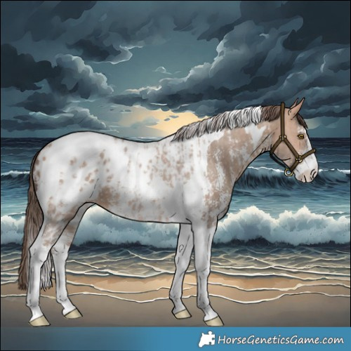 Horse Color:Amber Champagne Sabino Tobiano Appaloosa and Amber Champagne Sabino Tobiano Appaloosa