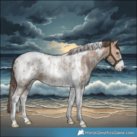 Horse Color:Amber Champagne Sabino Tobiano Appaloosa and Amber Champagne Sabino Tobiano Appaloosa