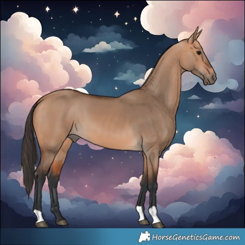 Horse Color:Bay Dun