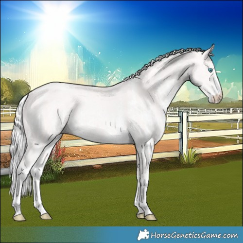 Horse Color:Cremello Sabino  and Cremello Sabino 