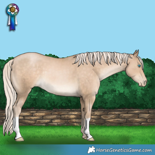 Horse Color:Chocolate Palomino Pearl