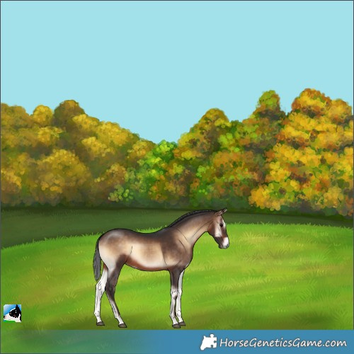 Horse Color:Brown Onyx 