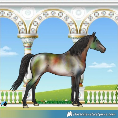 Horse Color:Brown Mushroom Rabicano 