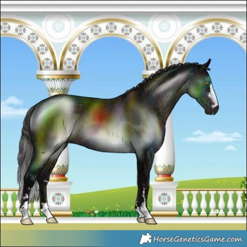 Horse Color:Midnight Sable Champagne Ice Mushroom Rabicano