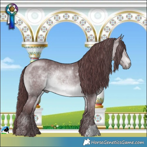 Horse Color:Chocolate Bay Chinchilla 