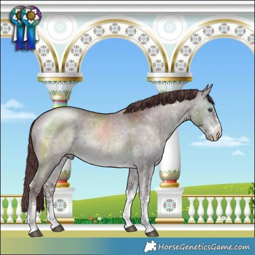 Horse Color:White Spotted Chocolate Brown Chinchilla 