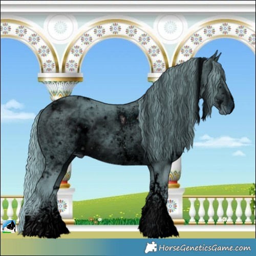 Horse Color:ERROR: UNKNOWN ANOMALY
