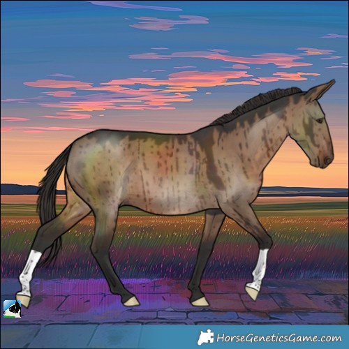 Horse Color:Liver Red Dun Brindle 