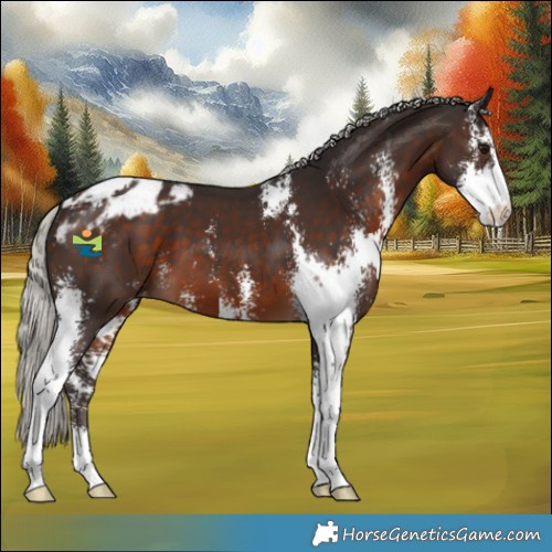 Horse Color:Silver Brown Sabino Varnish 