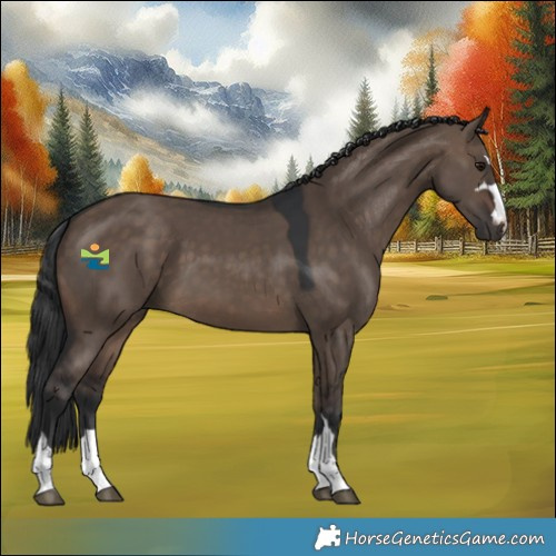 Horse Color:Brown Dun
