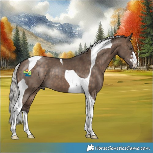 Horse Color:Silver Brown Dun Tobiano 