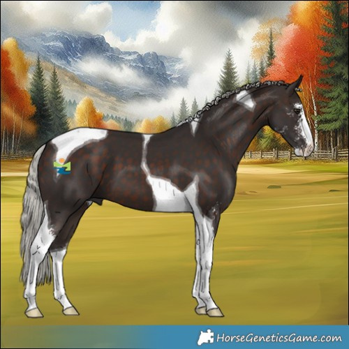 Horse Color:Silver Brown Sabino Tobiano 