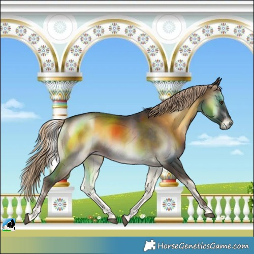 Horse Color:Chocolate Palomino Onyx Mushroom Rabicano 