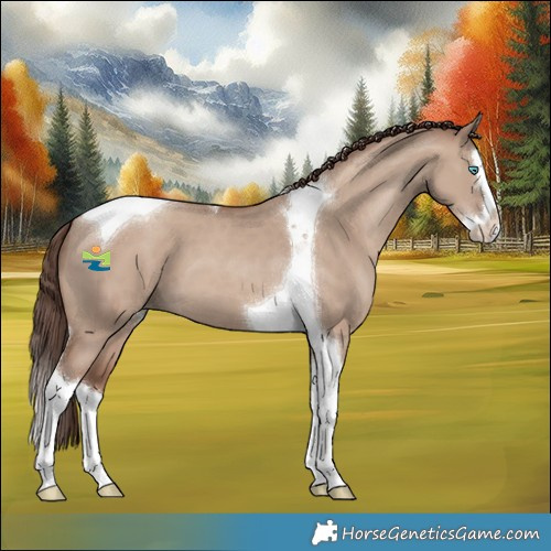 Horse Color:Classic Champagne Dun Splash Tobiano Varnish 