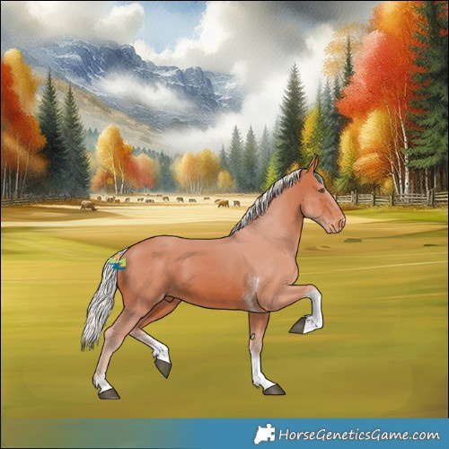 Horse Color:Silver Bay Tobiano Varnish 