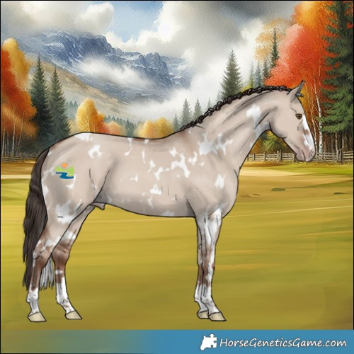 Horse Color:White Spotted Classic Champagne Dun 