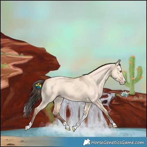 Horse Color:Amber Champagne Dun Splash Tobiano 