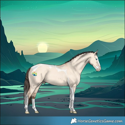 Horse Color:Amber Champagne Dun Splash Tobiano 