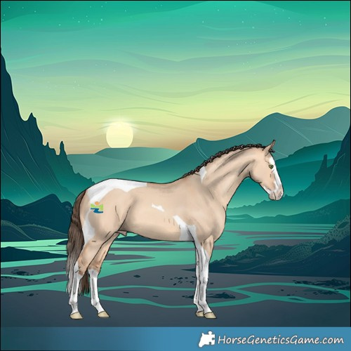 Horse Color:Amber Champagne Dun Splash Tobiano 
