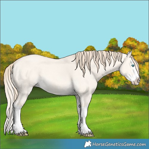 Horse Color:Perlino Dun Splash 