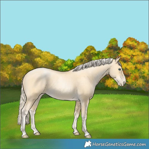 Horse Color:Palomino Pearl 